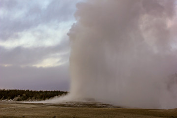 old faithful geyser erupting