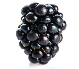 Blackberries isolated on white background