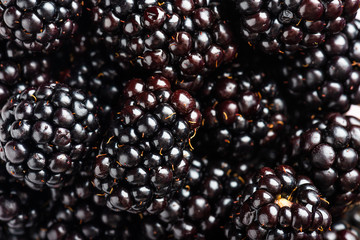 Fresh ripe blackberries