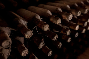 Winery collegion of vintage bottles in an underground cellar