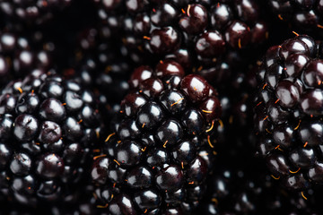 Fresh ripe blackberries
