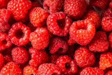 Raspberry fruit background, red berry