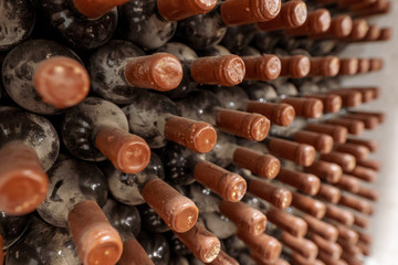 Old winery bottles covered with dust and cobwebs