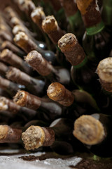 Old Wine aging in wine cellar