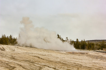 fog in yellowstone national park