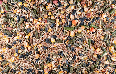 Food for rodents. Healthy animal food background. Food of dry compound for hamsters, rats, chinchillas, mice, squirrels consisting of grain protein