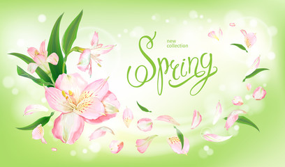 Spring collection background