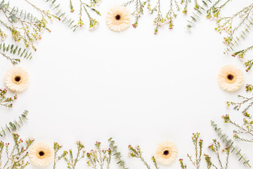Carte de voeux de printemps, fleurs de gerbera de couleur pastel sur fond blanc.