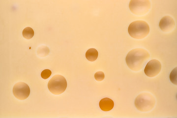 Cheese with big holes. Food background.