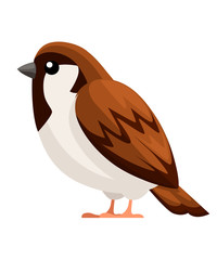 Side view of Sparrow bird sitting. Flat cartoon character design. Colorful bird icon. Cute sparrow for world sparrow day. Vector illustration isolated on white background