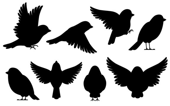Black silhouette. Icon set of Sparrow bird. Flat cartoon character design. Bird icon in different side of view. Cute sparrow for world sparrow day. Vector illustration isolated on white background