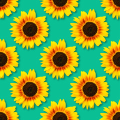 Sunflower seamless background.