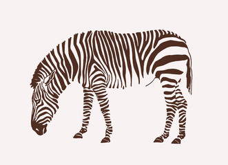 Graphical zebra ,vintage background,vector illustration for tattoo and printing © Алексей Воробьёв