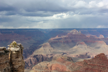 view from gand canyon