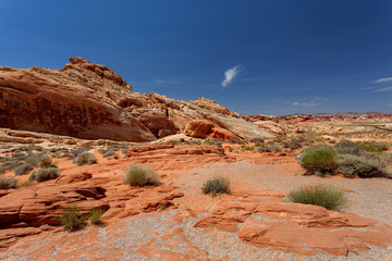 Fototapeta premium Valley of Fire State Park, Nevada, United States