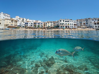 Spain Calella de Palafrugell coastal village, beach with fish underwater, Costa Brava,...
