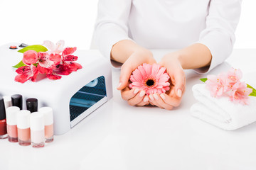 Obraz na płótnie Canvas Partial view of manicurist posing with pink flowers at workplace isolated on white