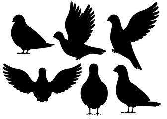 Black silhouette. Icon set of Pigeon bird flying and sitting. Flat cartoon character design. Black bird icon. Cute pigeon template. Vector illustration isolated on white background
