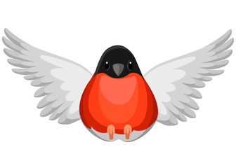 Front view of flying Bullfinch bird Flat cartoon character design. Colorful bird icon. Cute bullfinch template. Winter bird. Vector illustration isolated on white background