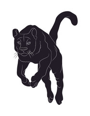 panther silhouette, vector © Aleksandra Nesterova