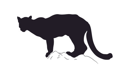 panther silhouette, vector © Aleksandra Nesterova