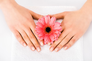 Fototapeta premium Top view of woman with manicure holding flower in hands
