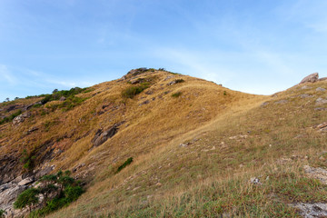 Fototapeta na wymiar Dry grass on the mountain with blue sky background