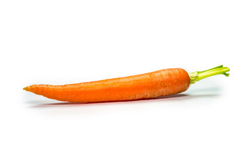 Fresh carrot isolated