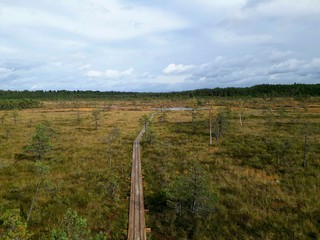 Fototapeta premium road in the marsh