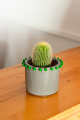 Beautiful cactus plant in a grey pot on wooden background