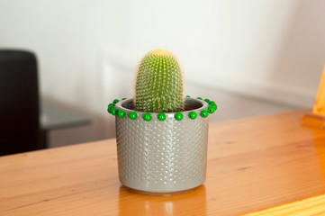 Beautiful cactus plant in a grey pot on wooden background