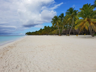saona island empty white sand beach, government protected nature reserve, desert island with many different palms and turquoise caribbean sea, dominican paradise tropical nature