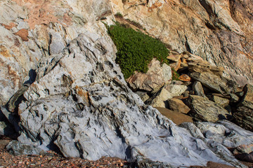 Seashore rocks closeup of different colours, textures and sizes, eroded by the Irish sea, rugged background. Limestone in Howth, Ireland.