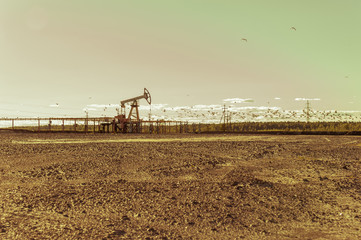 Oil pumps in the oil field. Summer hot sunny day. Seagulls soaring in the sky. Minimalistic industrial landscape.