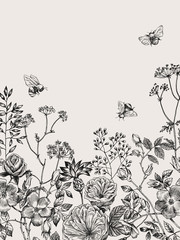 Wild and herbs plants set. Botanical hand drawn sketch. Spring flowers. Vector design. Can use for greeting cards, wedding invitations, patterns. - 245900597
