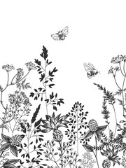 Wild and herbs plants set. Botanical hand drawn sketch. Spring flowers. Vector design. Can use for greeting cards, wedding invitations, patterns. - 245900798
