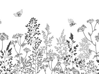 Wild and herbs plants set. Botanical hand drawn sketch. Spring flowers. Vector design. Can use for greeting cards, wedding invitations, patterns.