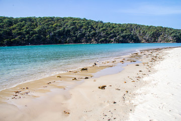 Obraz premium Pambula river estuary