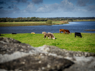 Irland