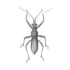 Isolated object of insect and fly sign. Collection of insect and element stock vector illustration.