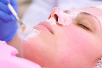 Fototapeta premium Cosmetologist puts mask on woman's face with brush. Moisturizing face. Face close-up.