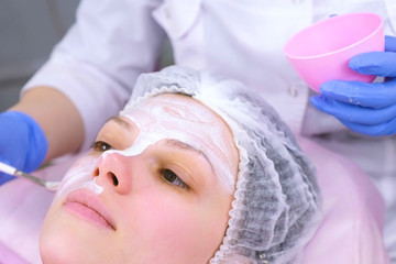 Fototapeta na wymiar Cosmetologist puts mask on woman's face with brush. Moisturizing face. Face close-up.