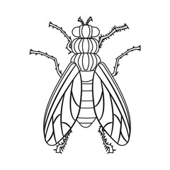 Vector design of insect and fly icon. Set of insect and element vector icon for stock.
