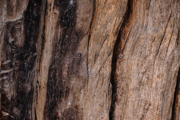 Old wooden with cracked