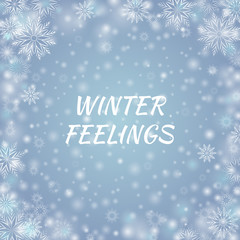 Fototapeta na wymiar Winter Postcard with blurred and clear snowflake