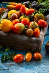 Fresh tomatoes set in wooden box
