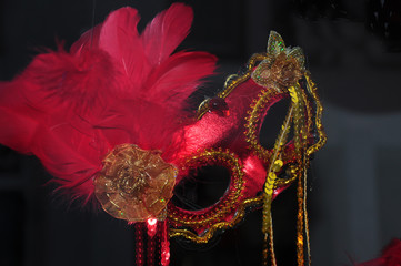 Die rote Maske: Maskerade mit Karnevalsmaske und Federn.