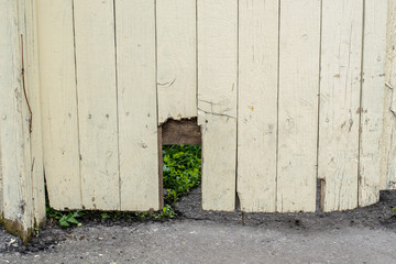 Wooden background