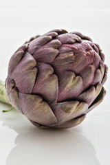 Obraz premium carciofo moretto bagnato fronte