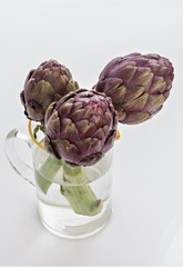 Fototapeta premium carciofi moretto bagnato da sopra